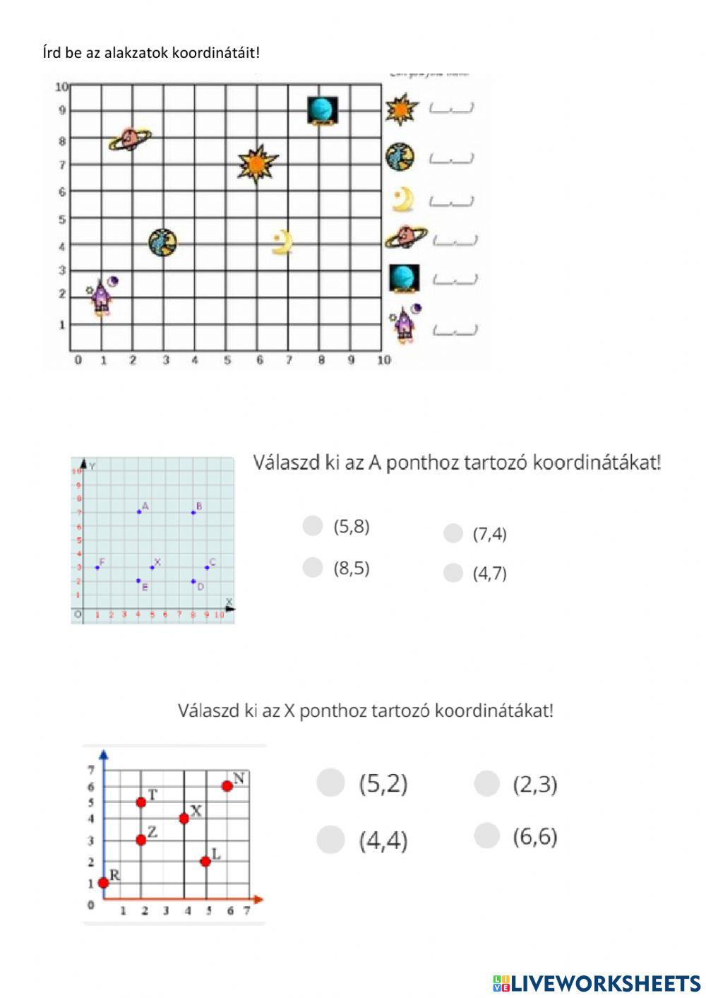 Koordináta rendszer