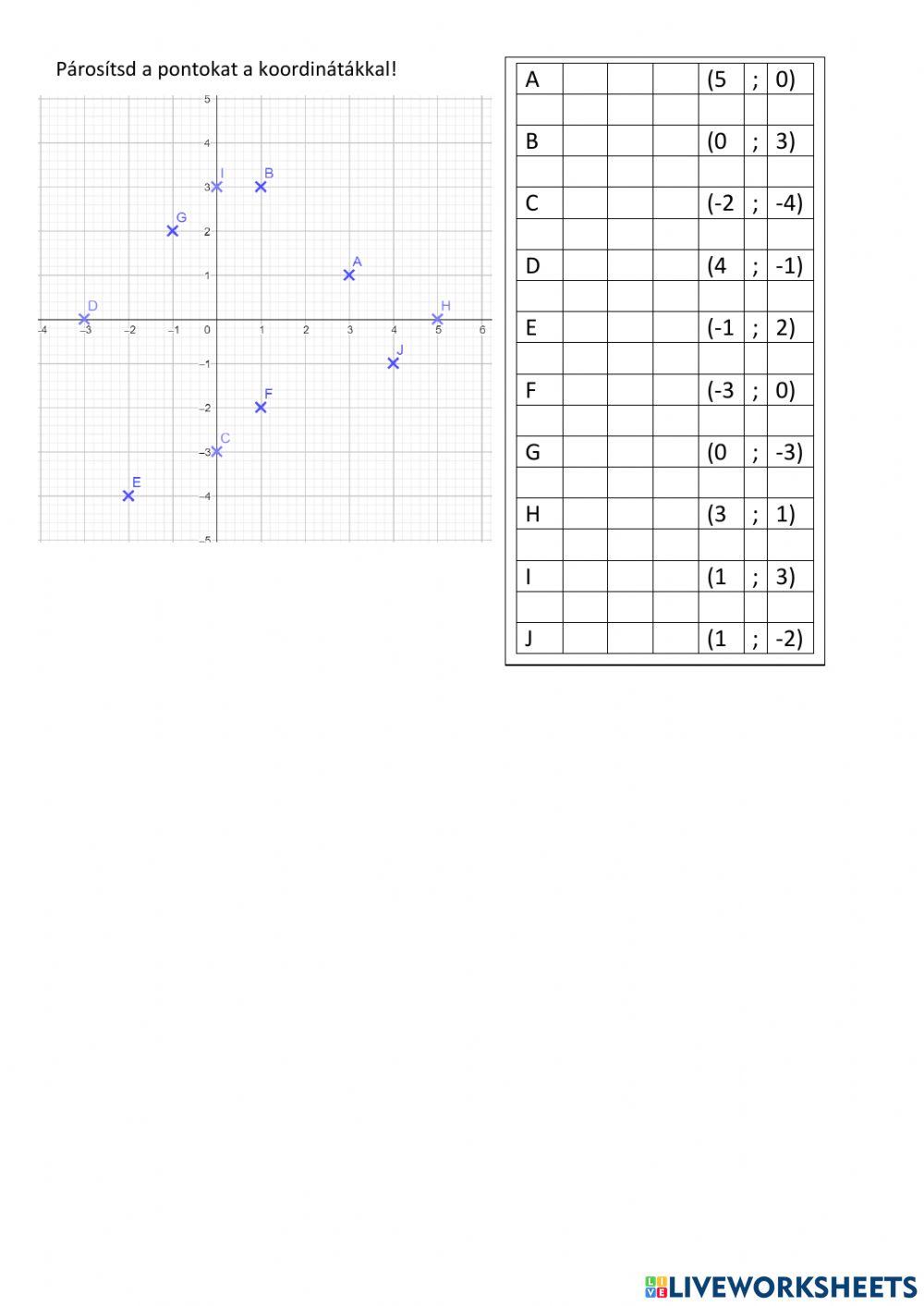 Koordináta rendszer