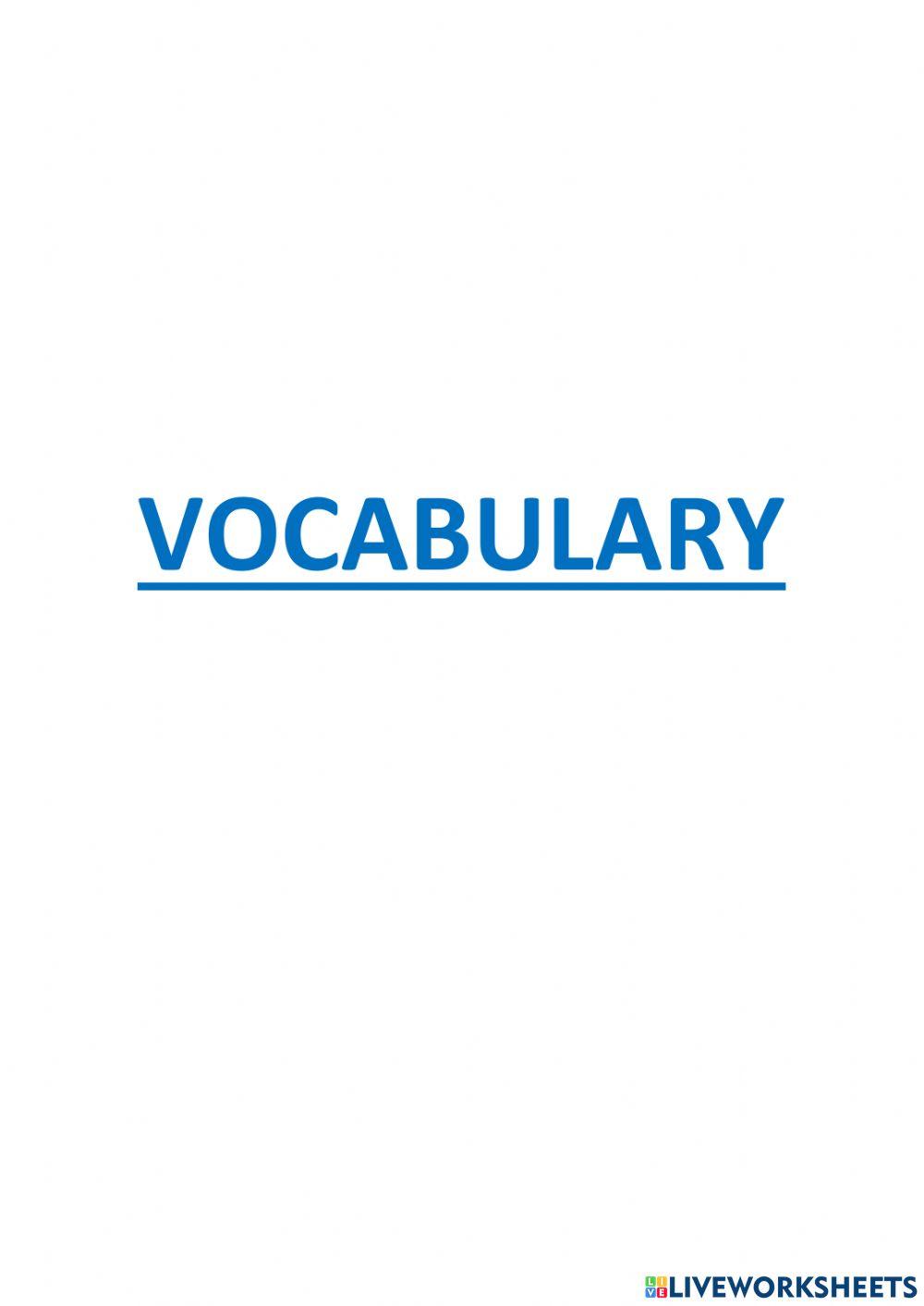 Vocabulary Cover