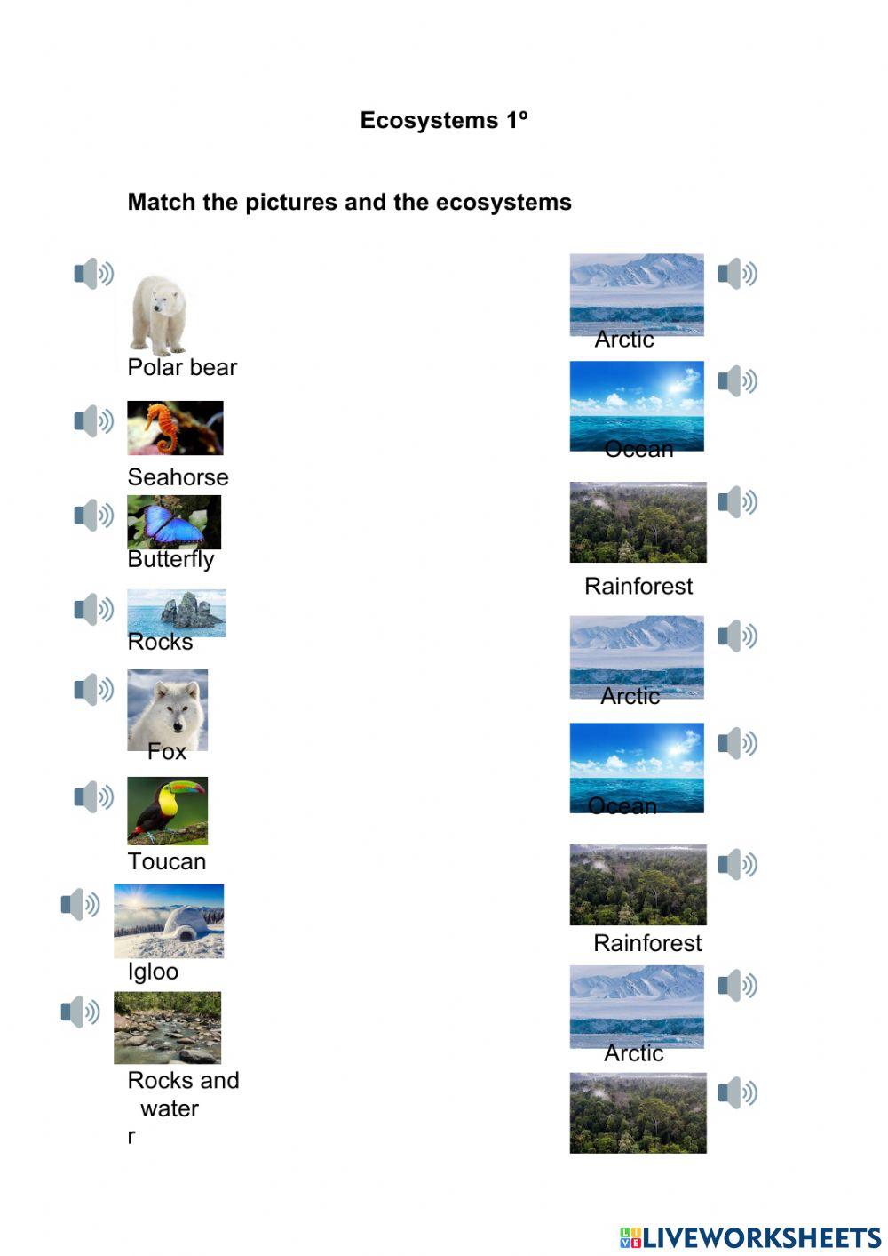 Ecosystems 1º Ecosystems 1º