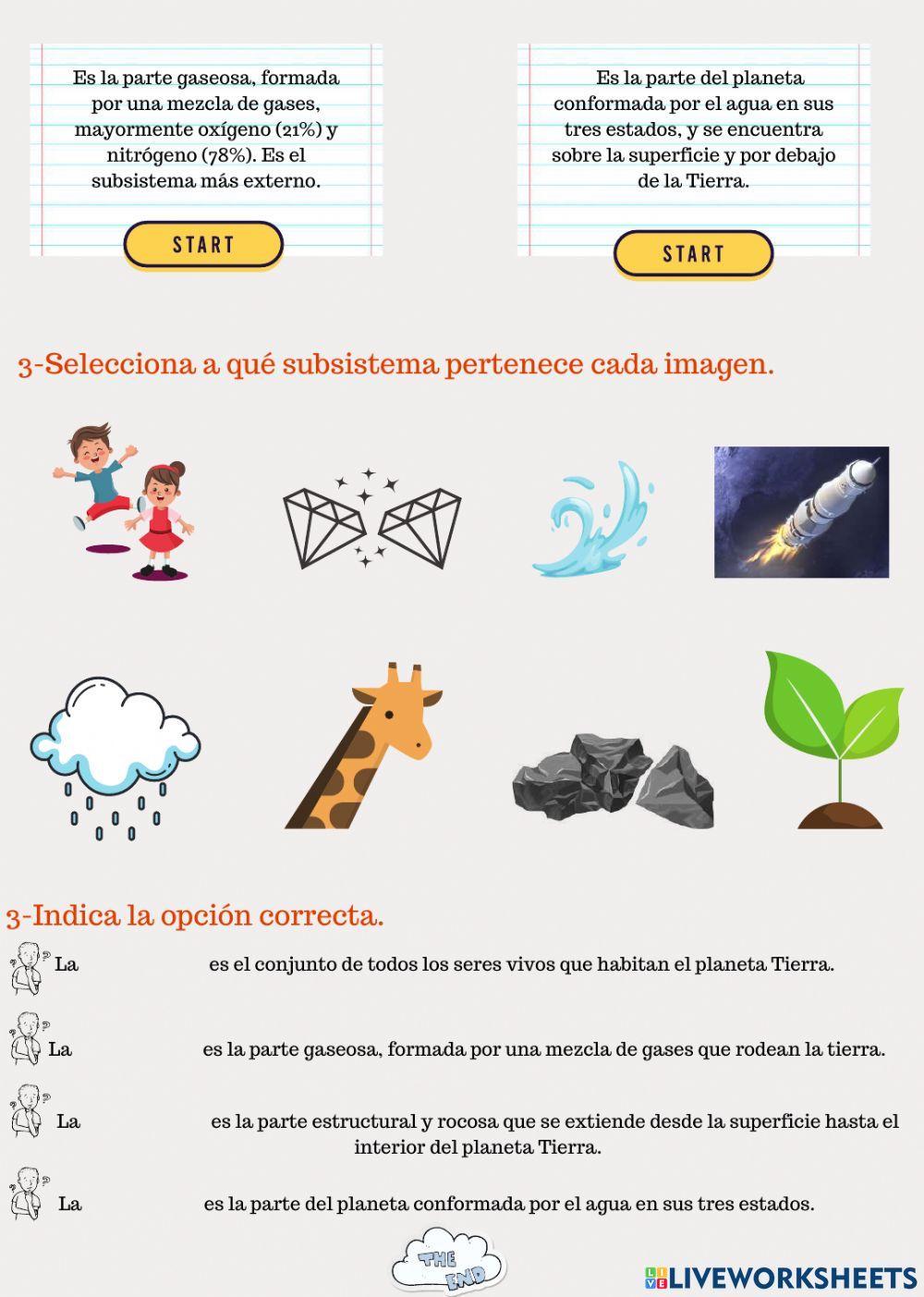 Subsistemas terrestres
