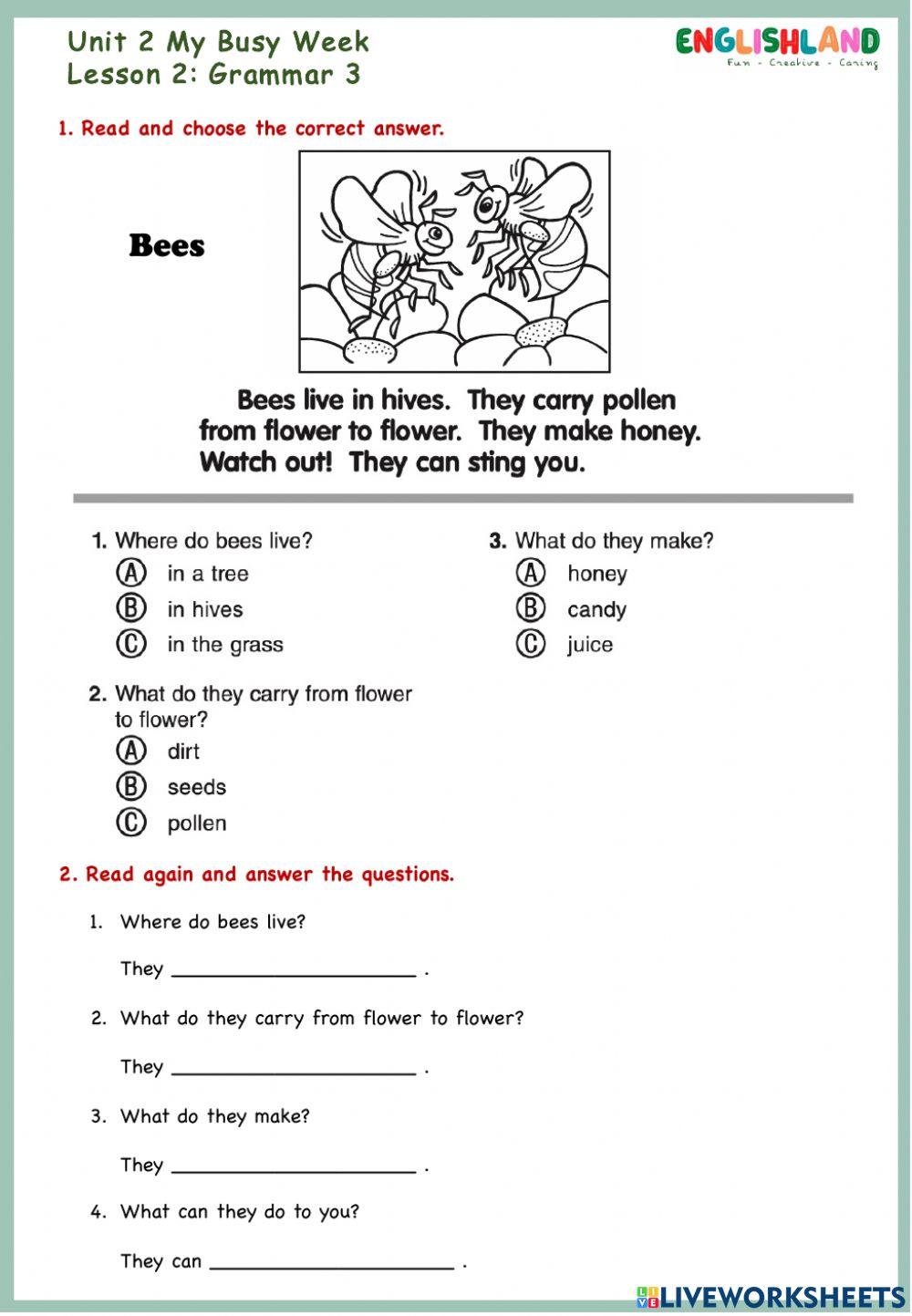 U2 Lesson 2 Grammar 3
