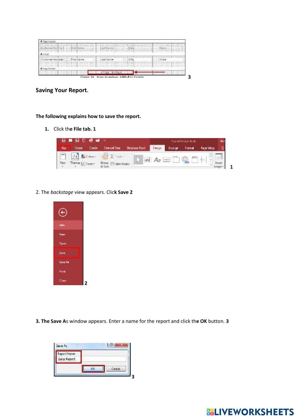Lesson 2    Adding Fields Saving Viewing and Printing A Report