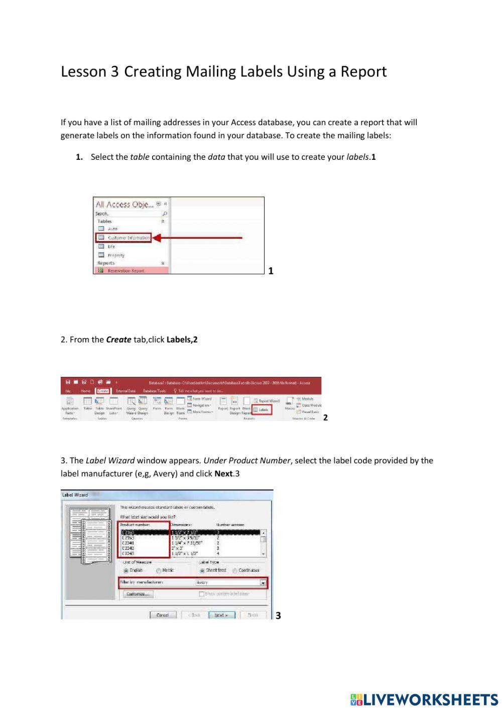 Lesson 3 creating mailing labels using a report worksheet live worksheets