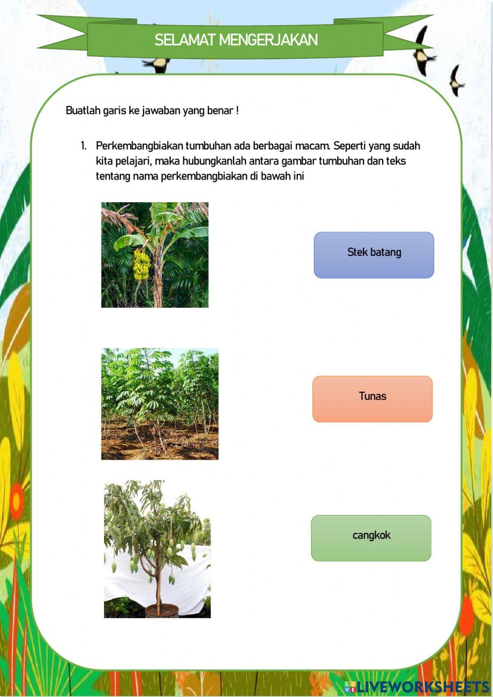 Lkpd sd kelas 3 semester 1 tema 1