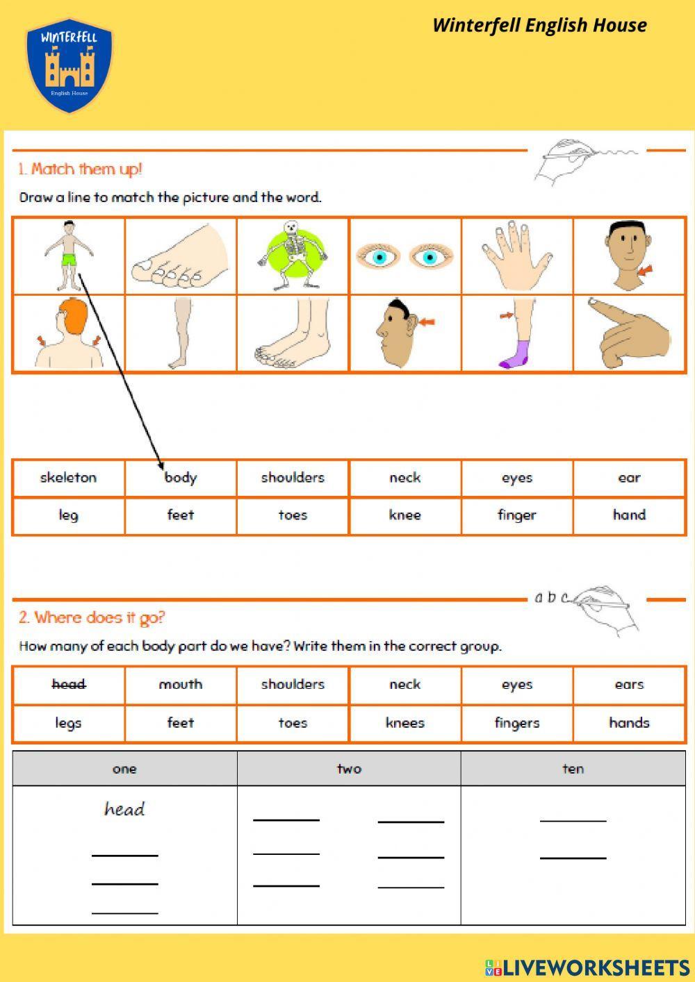 Listening: Parts of the body