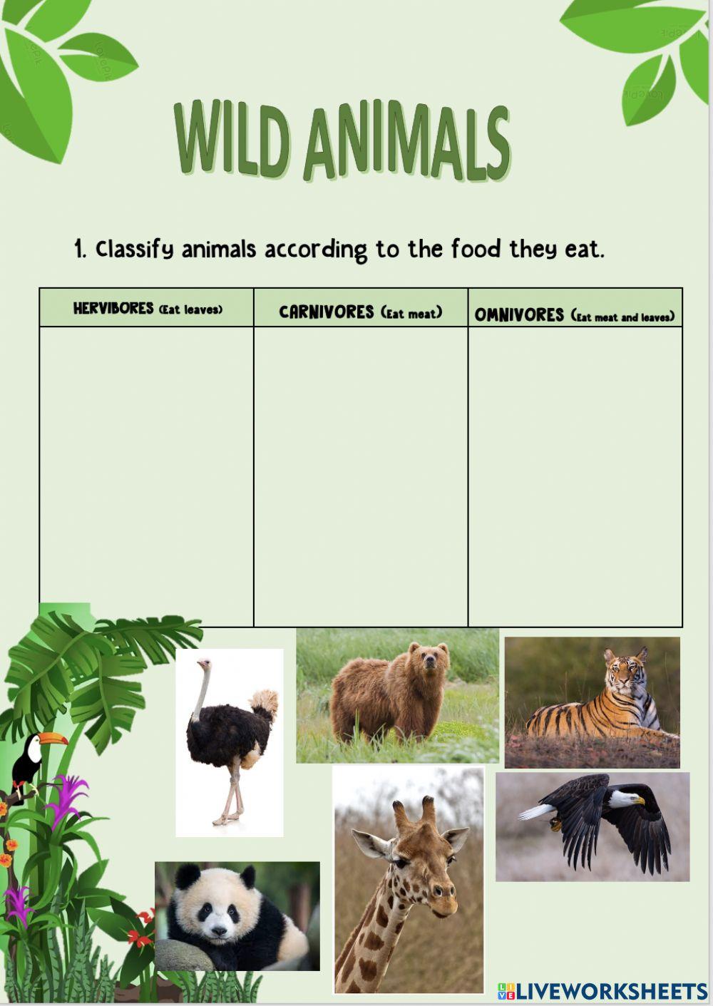 Wild animals' food
