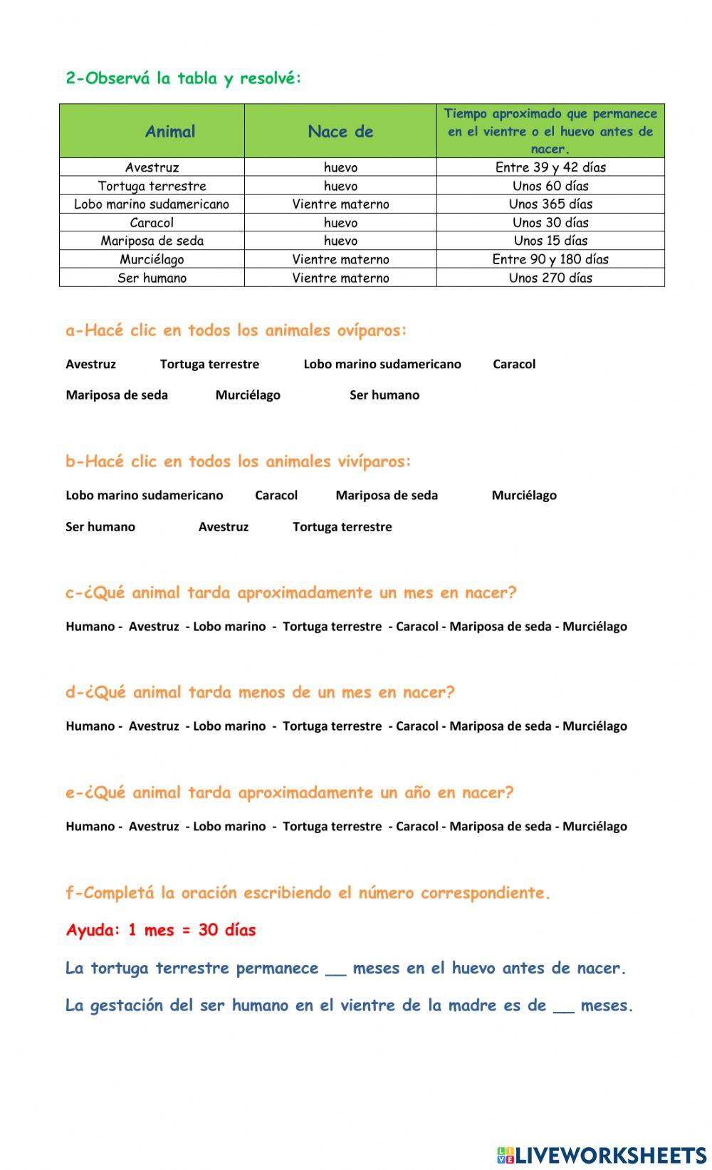 Animales ovíparos y vivíparos