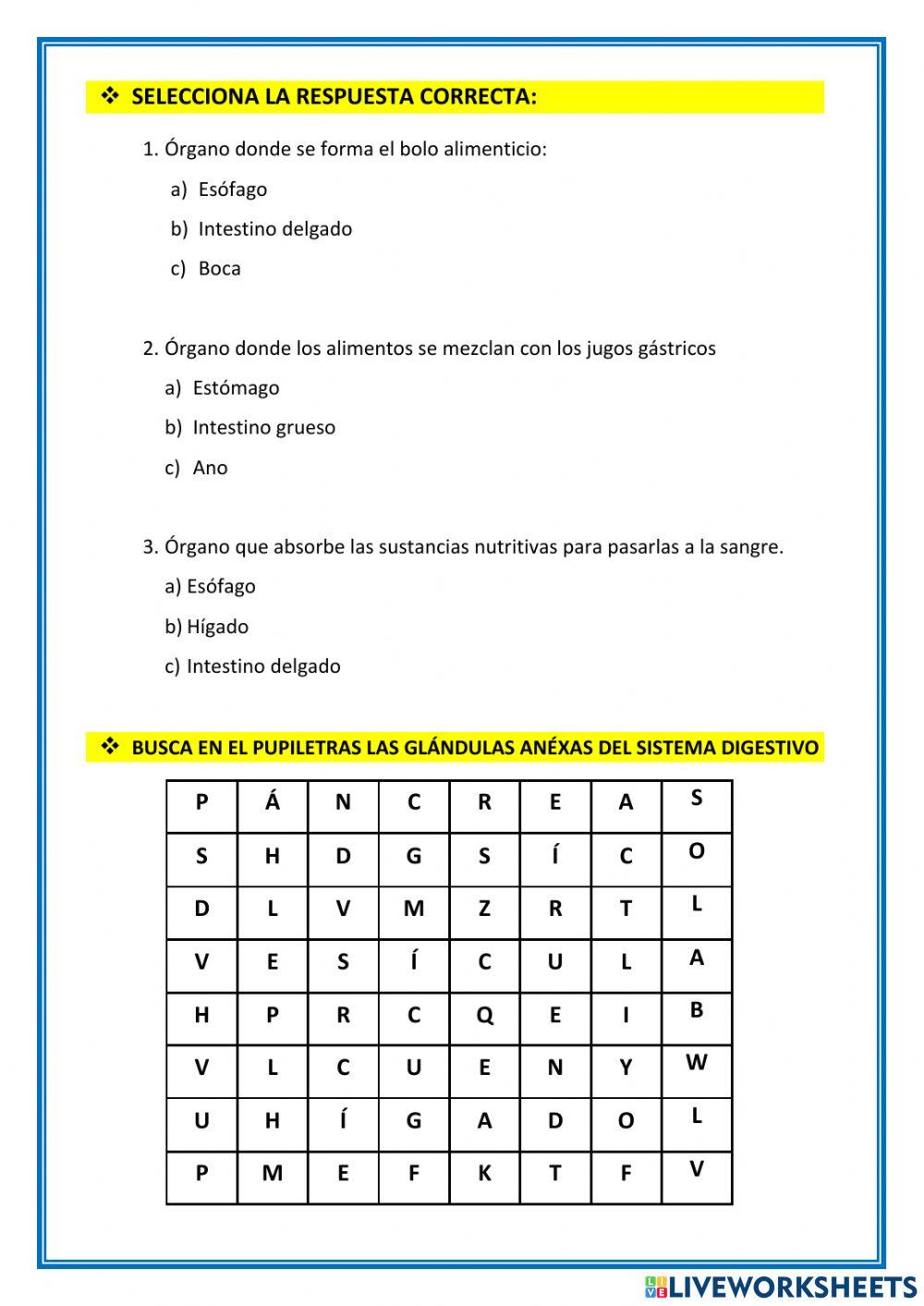 El sistema digestivo
