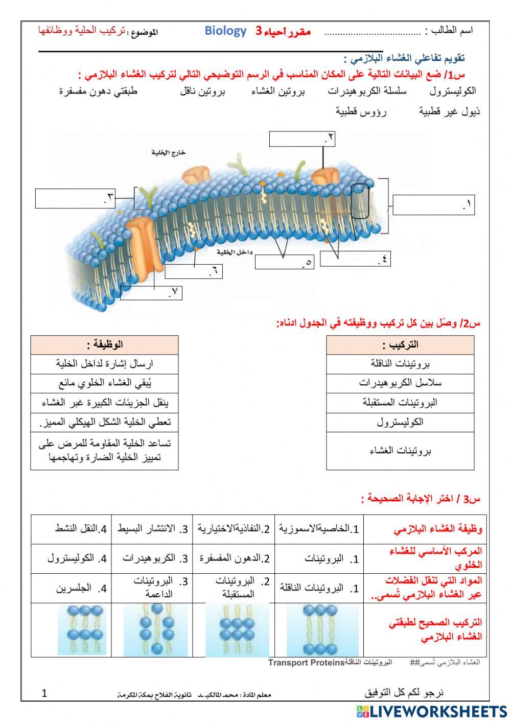الغشاء البلازمي تفاعلية