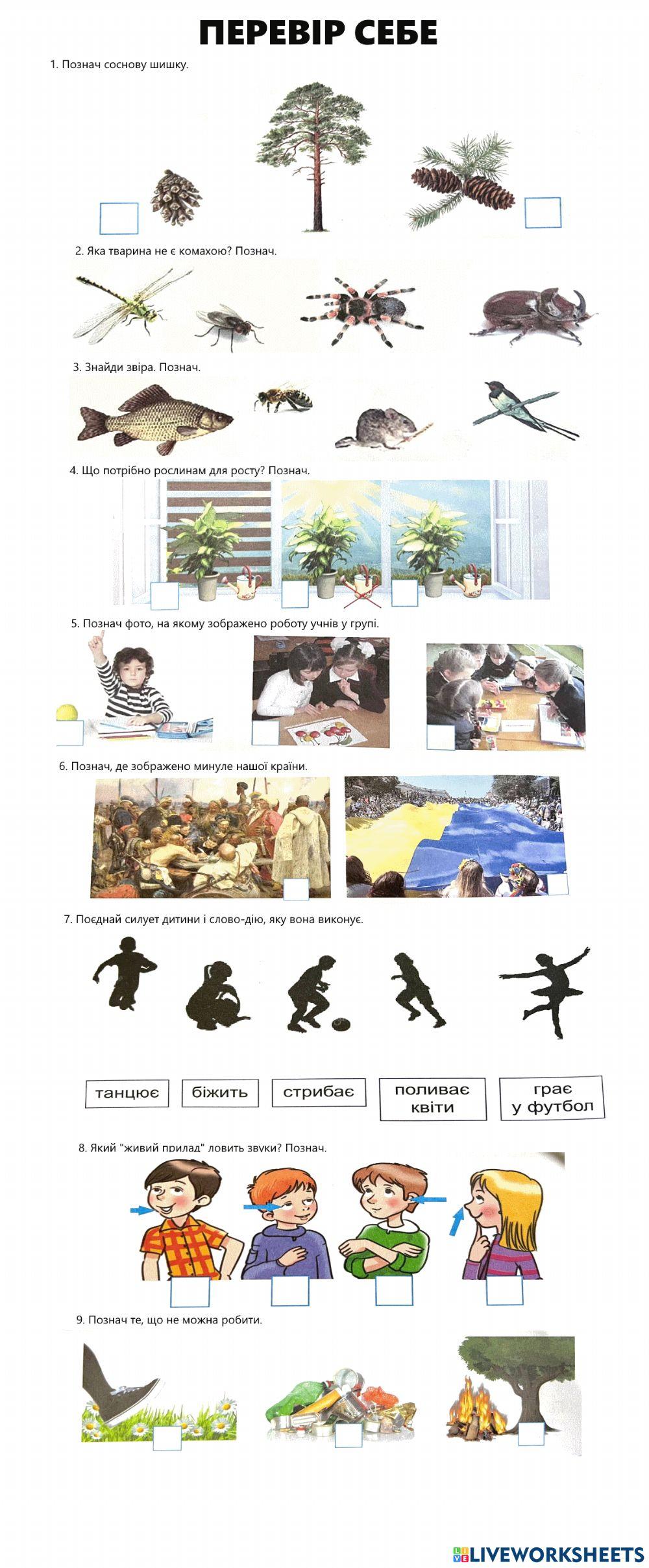 Первір себе