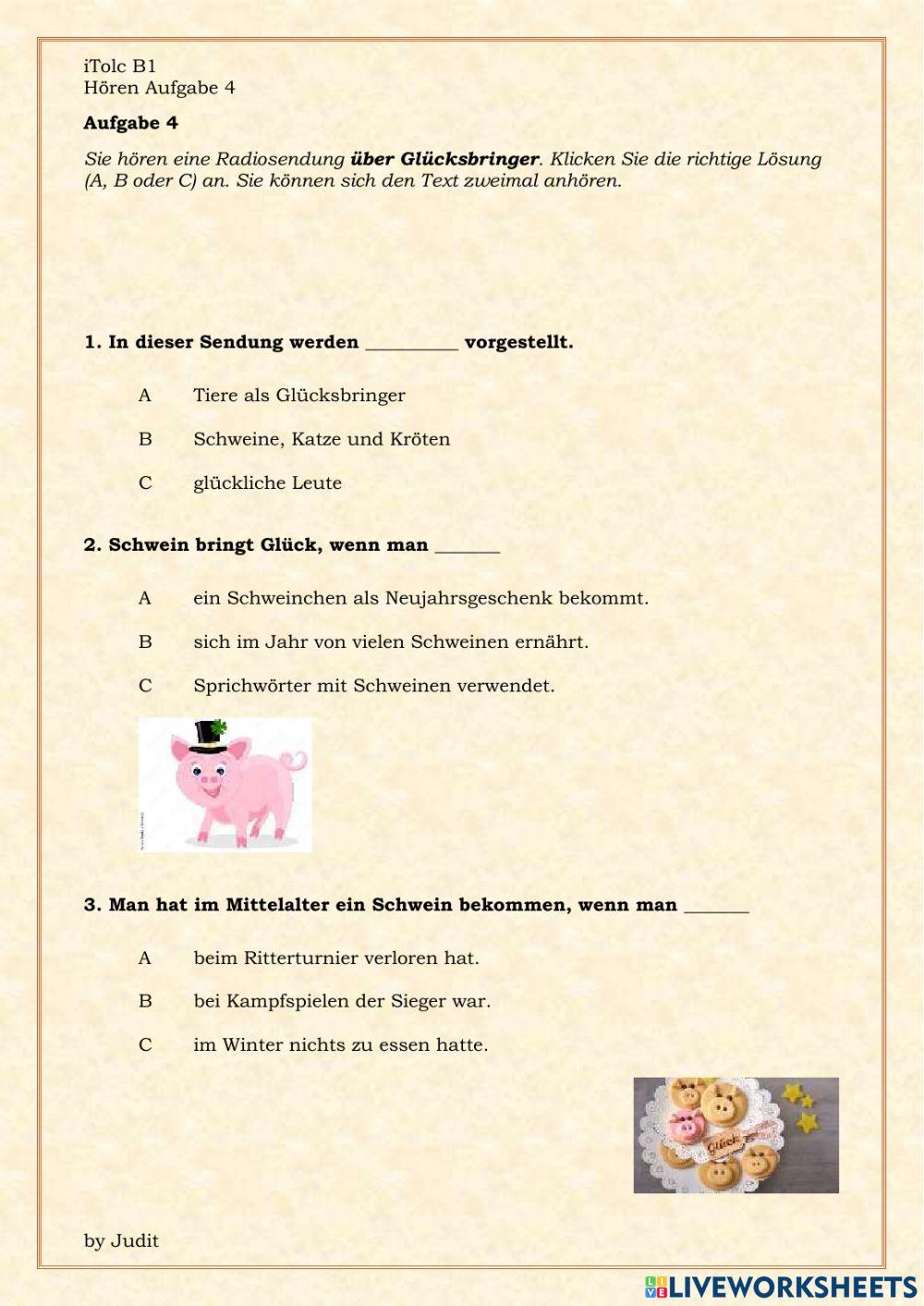 Glücksbringer iTolc B1