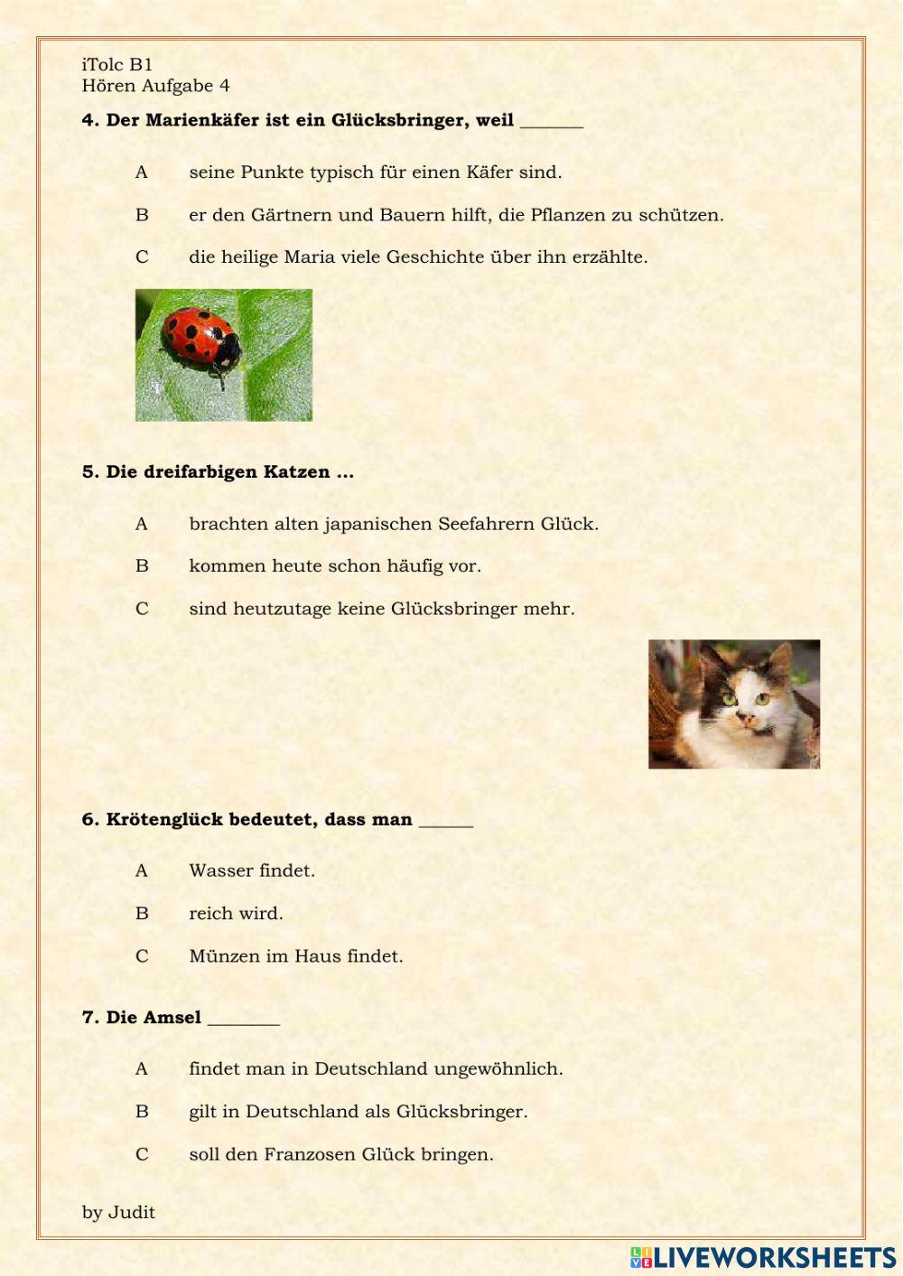 Glücksbringer iTolc B1