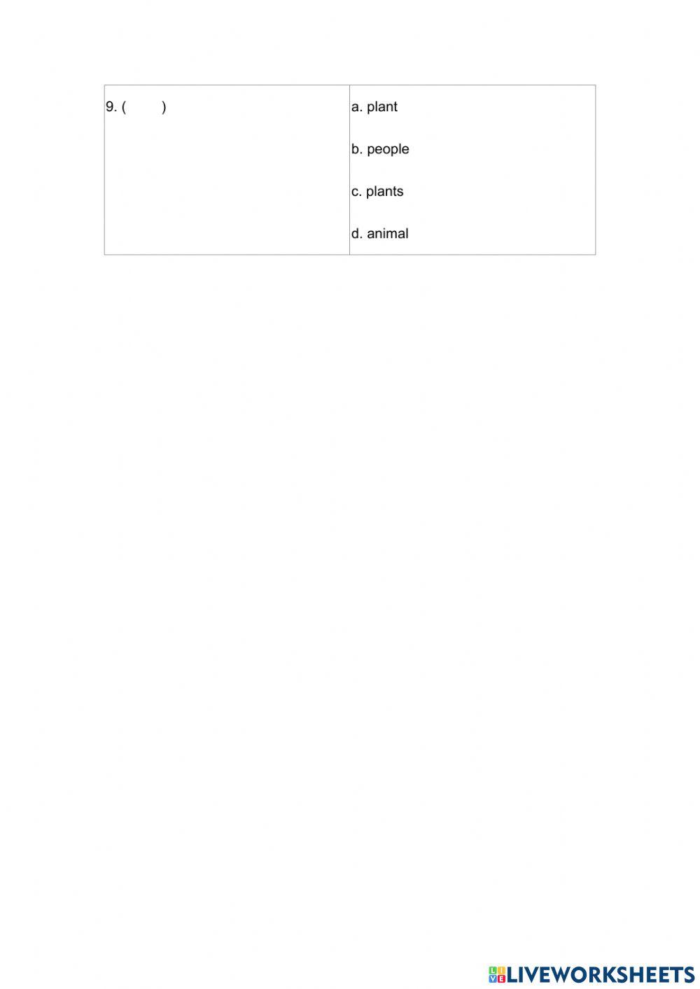 Vocabulary and Grammar
