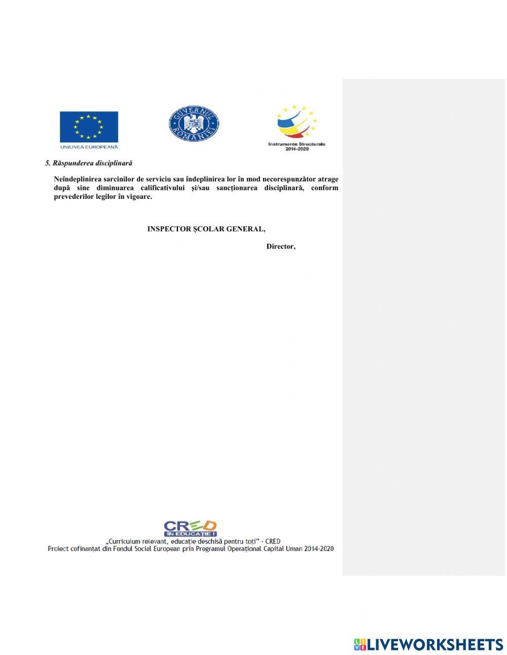 Fisa postului director adj