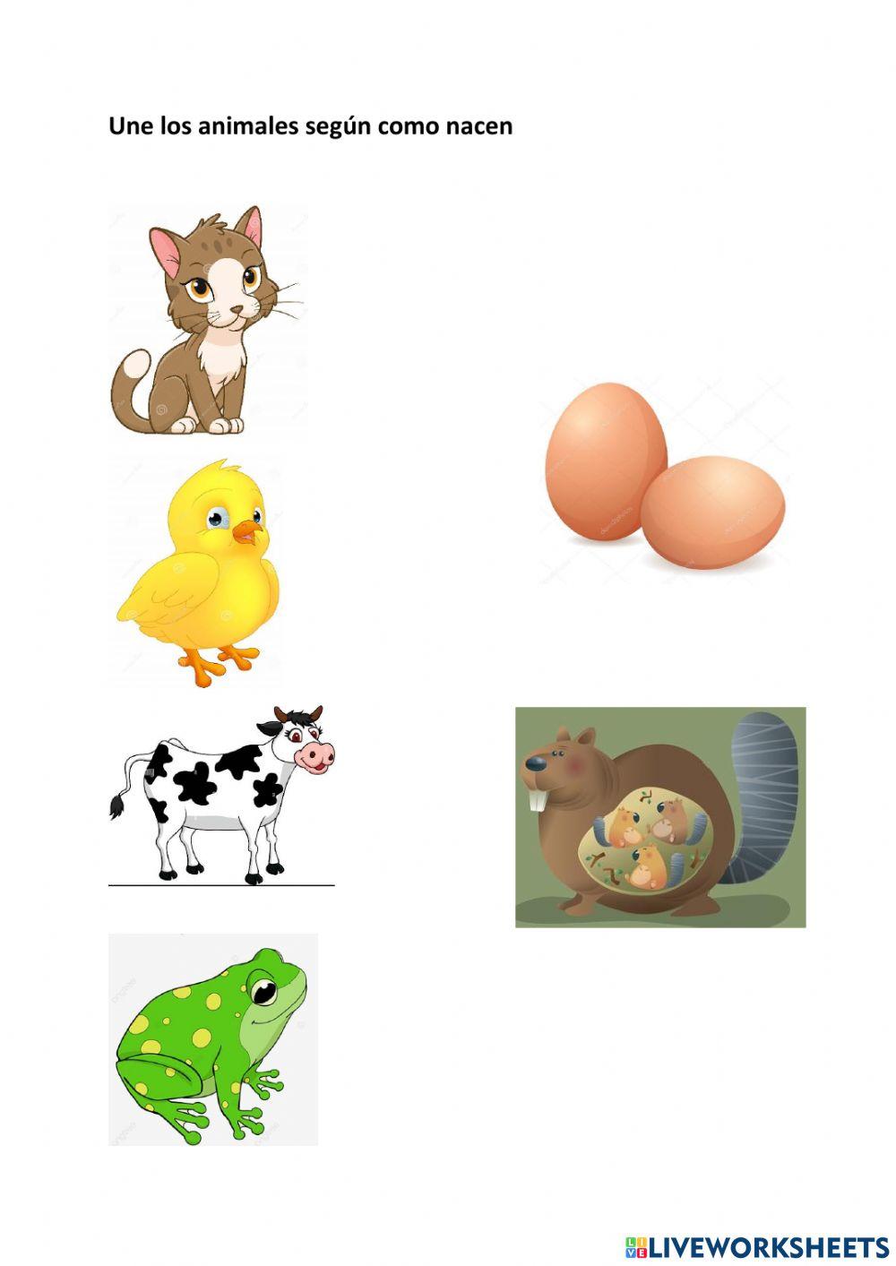 Los animales según su origen