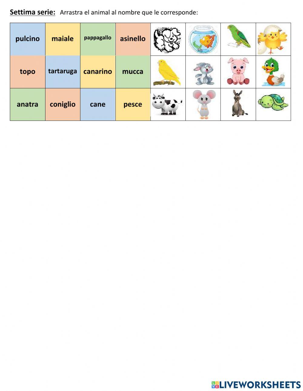 Animali - Numeri 0-20