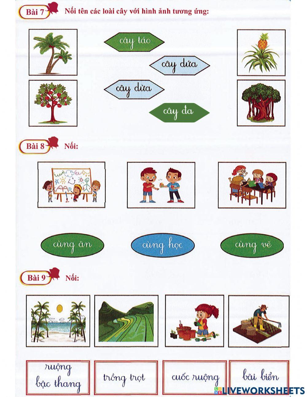 Tiếng Việt 1 lên 2 - Dạng 5: Nối từ và câu (phần 2)