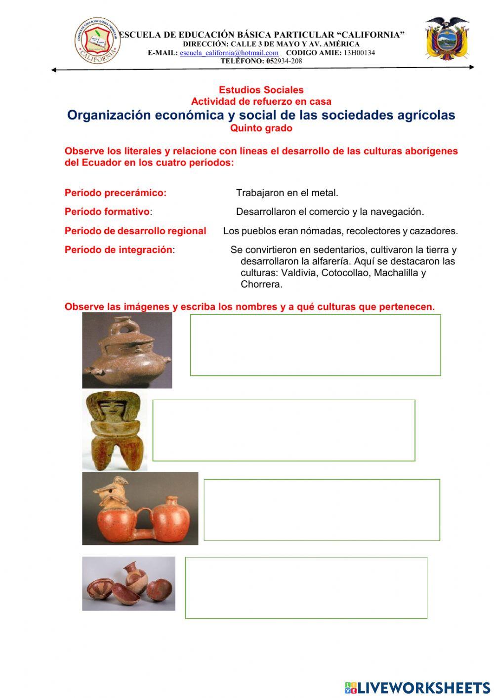 Organización económica y social de las sociedades agrícolas.