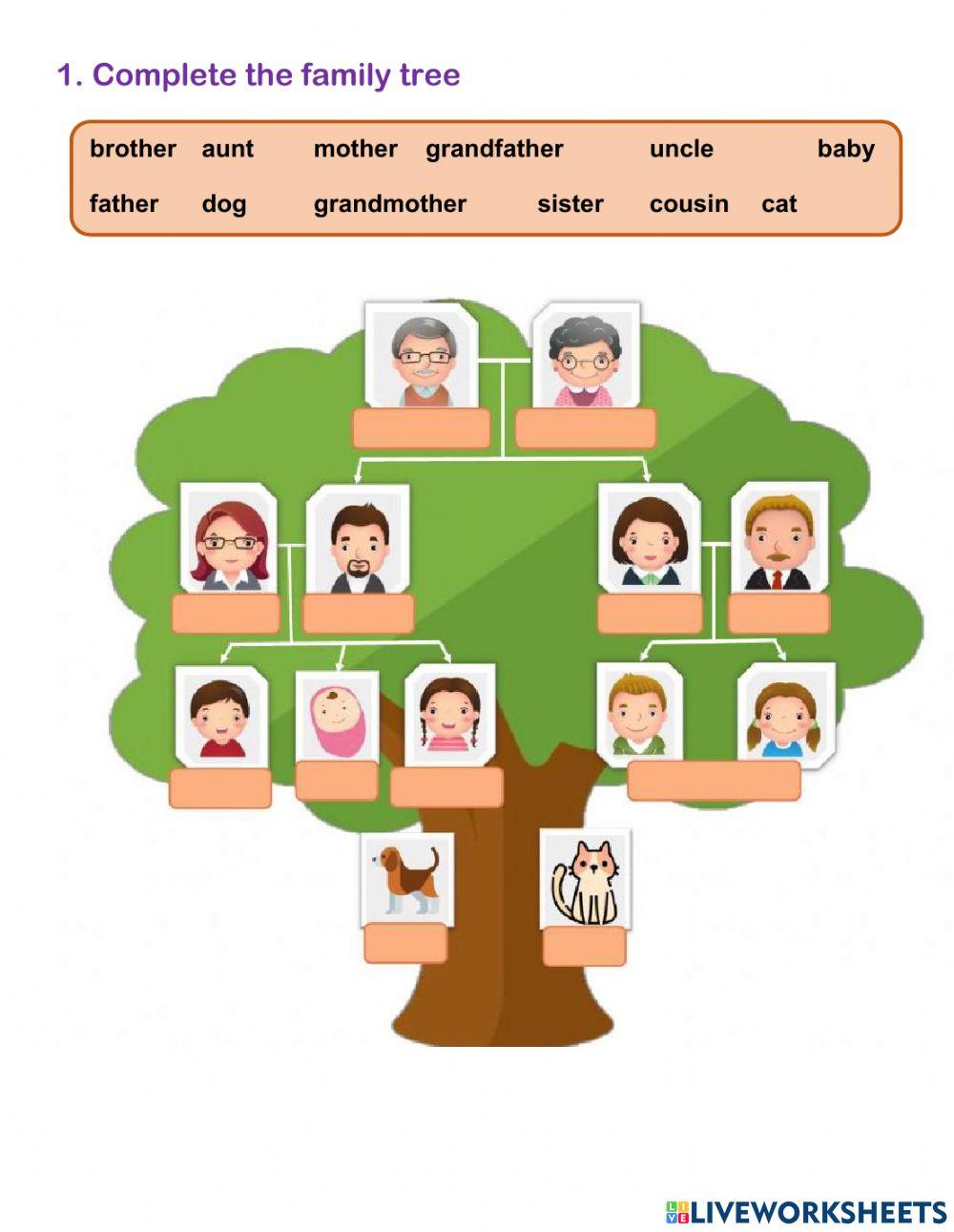 Family + he-she | Free Interactive Worksheets | 2045421