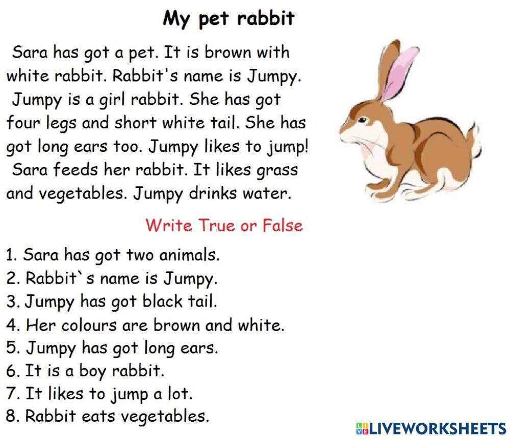My pet rabbit