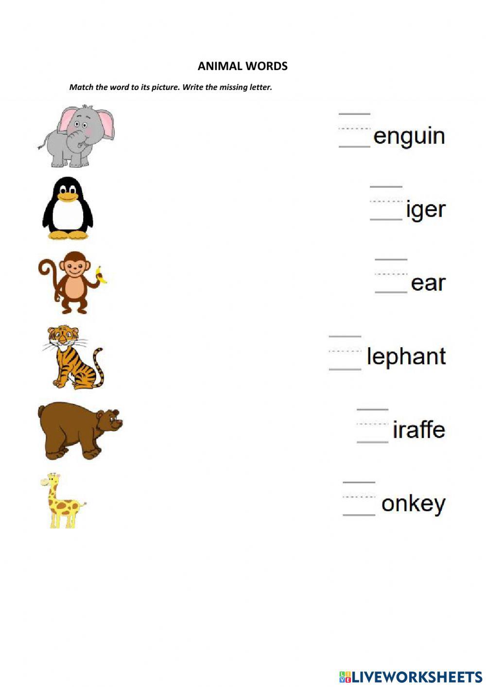 Short vowel, beggining consonants , animal word  and digraph