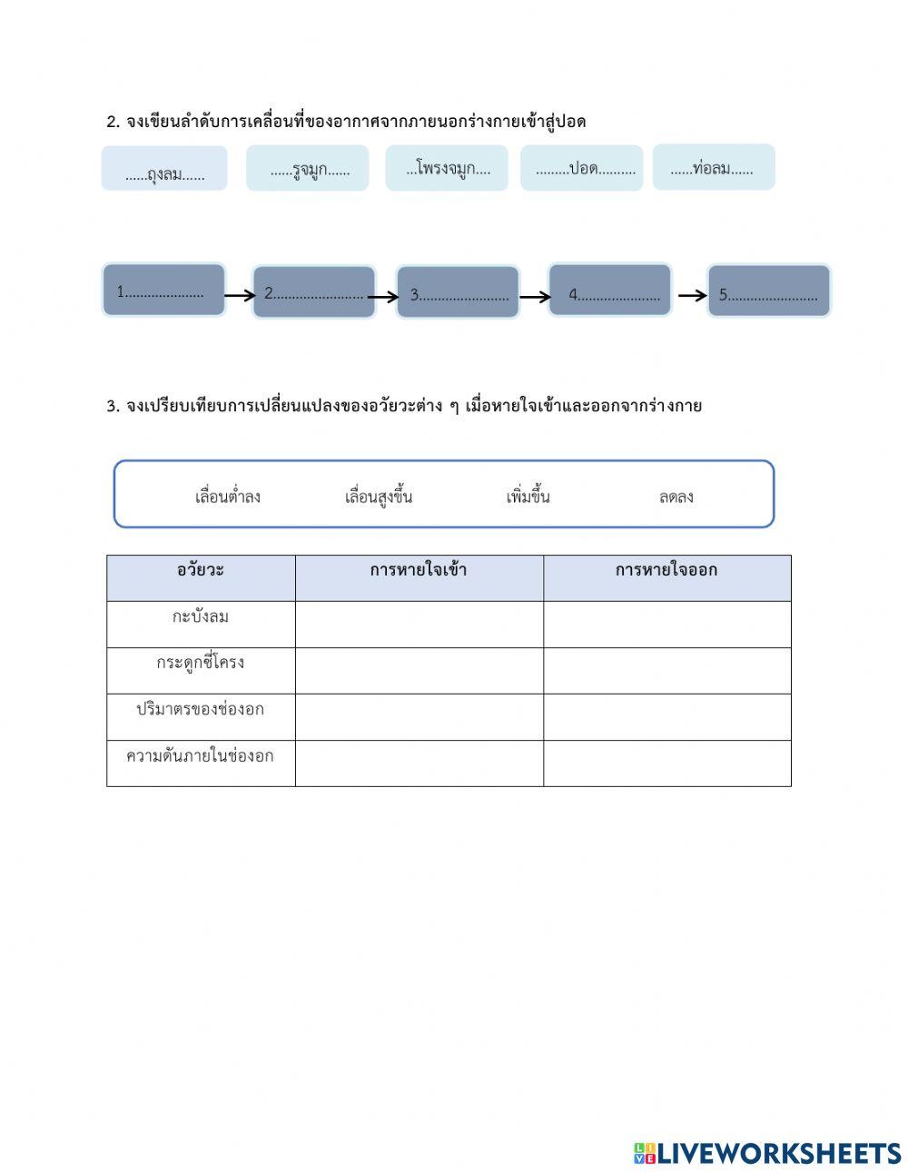 ระบบหายใจ