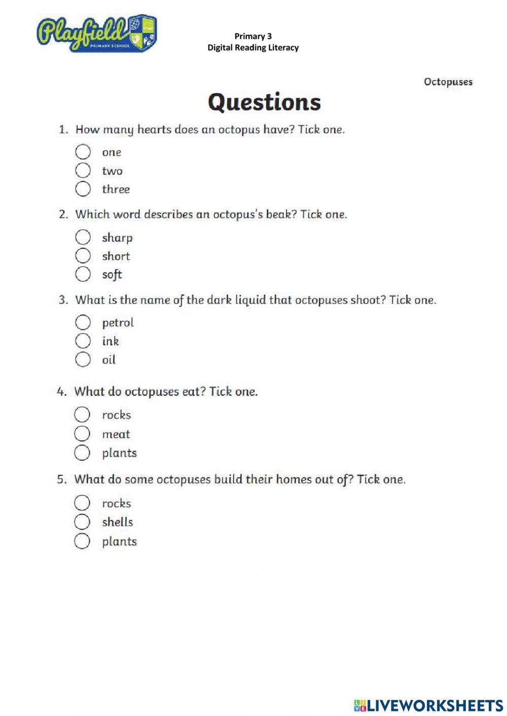 The Octopuses Reading Comprehension