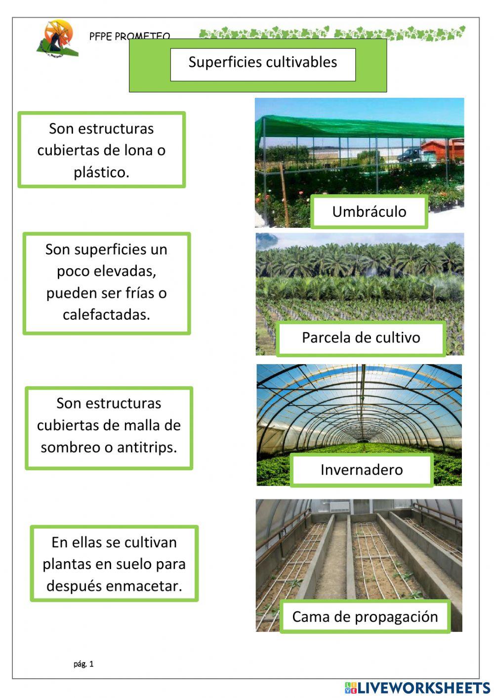 Superficies útiles de una explotación