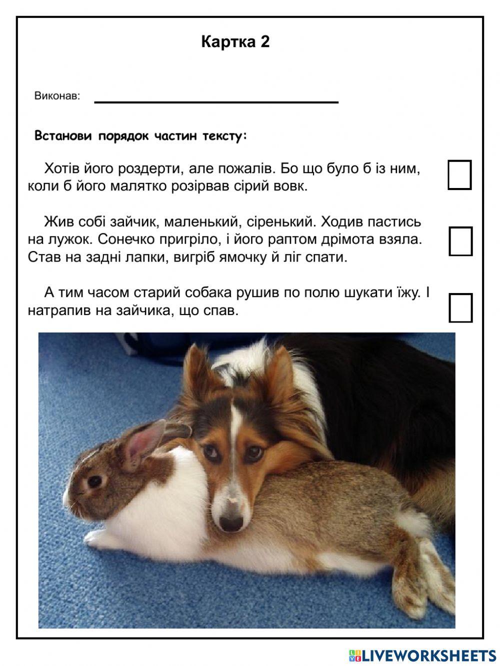 Текст. Будова тексту