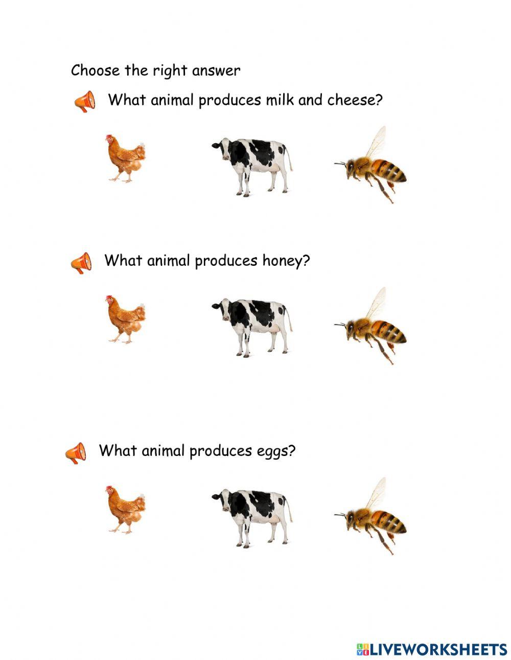 Food from animals