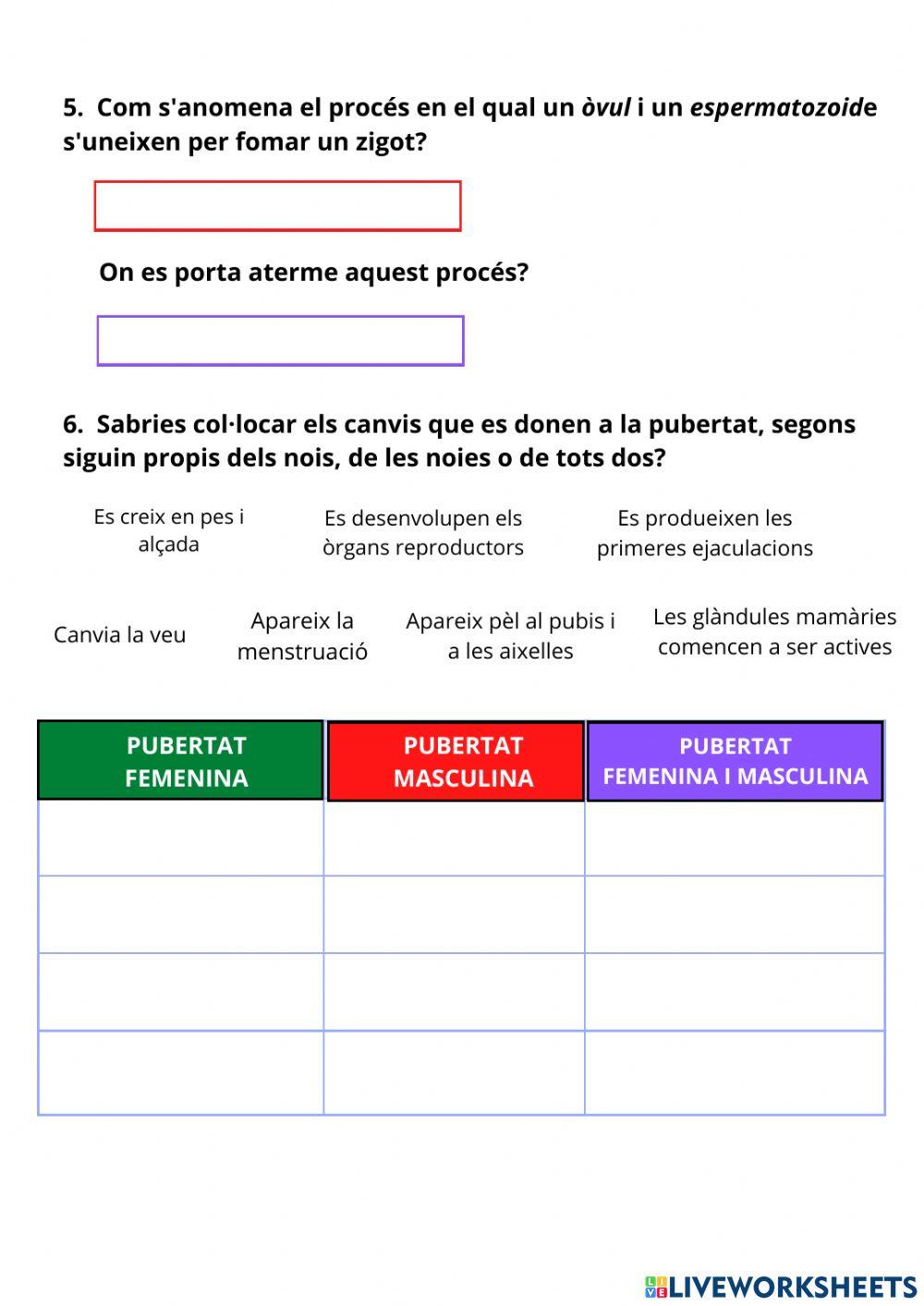 Aparell locomotor, reproductor i circulatori