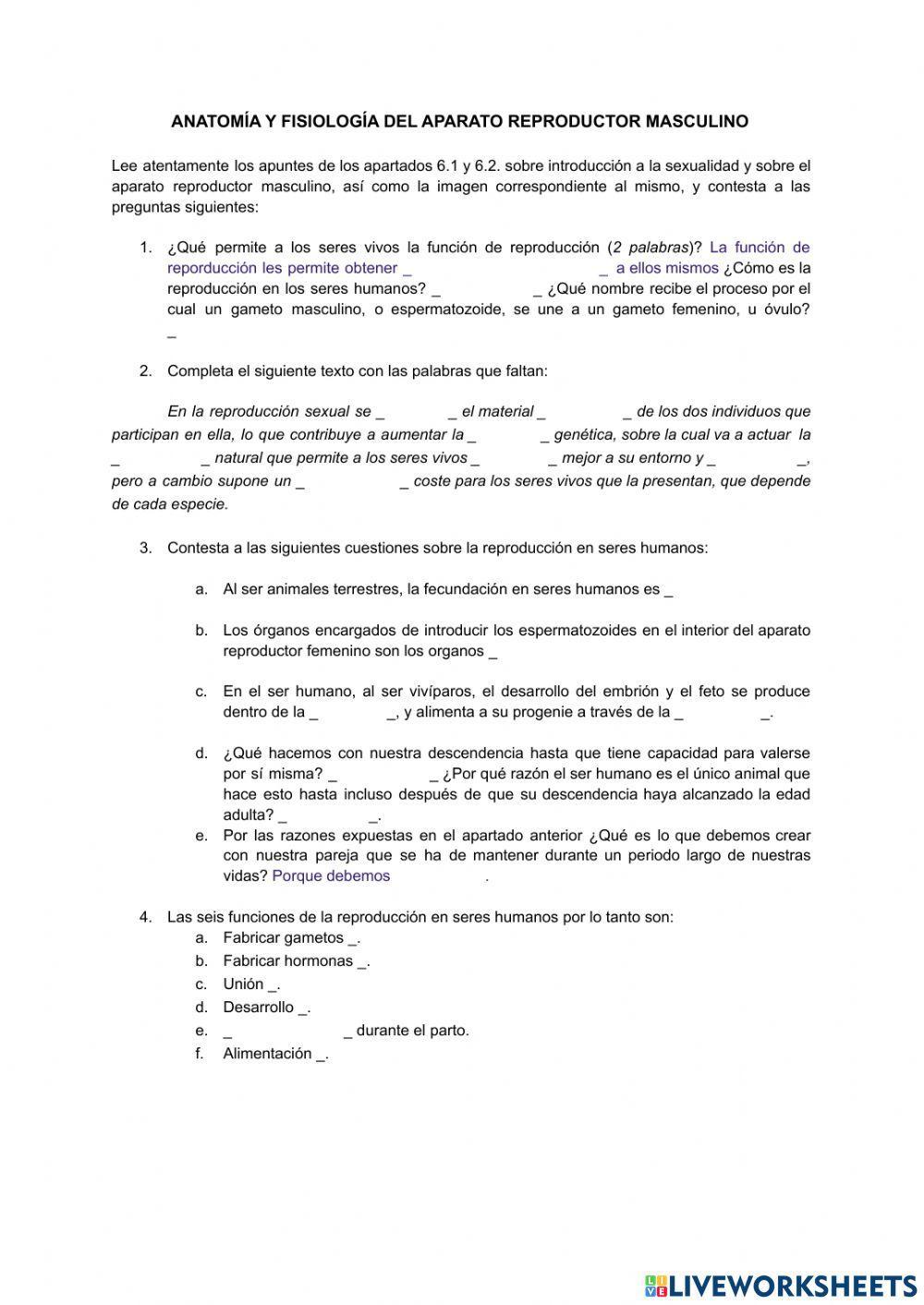 The cell theory. Characteristics of cells
