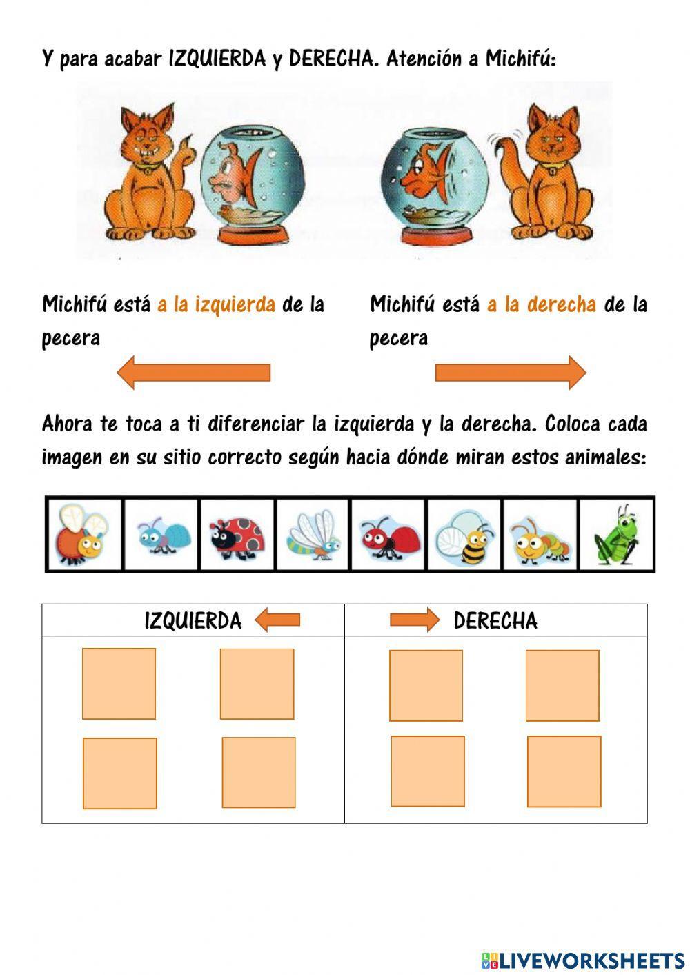 Orientación Espacial