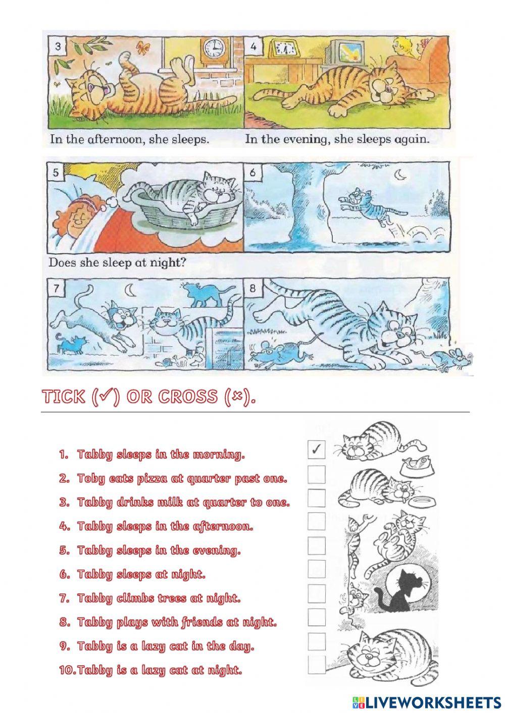 Reading Comprehension