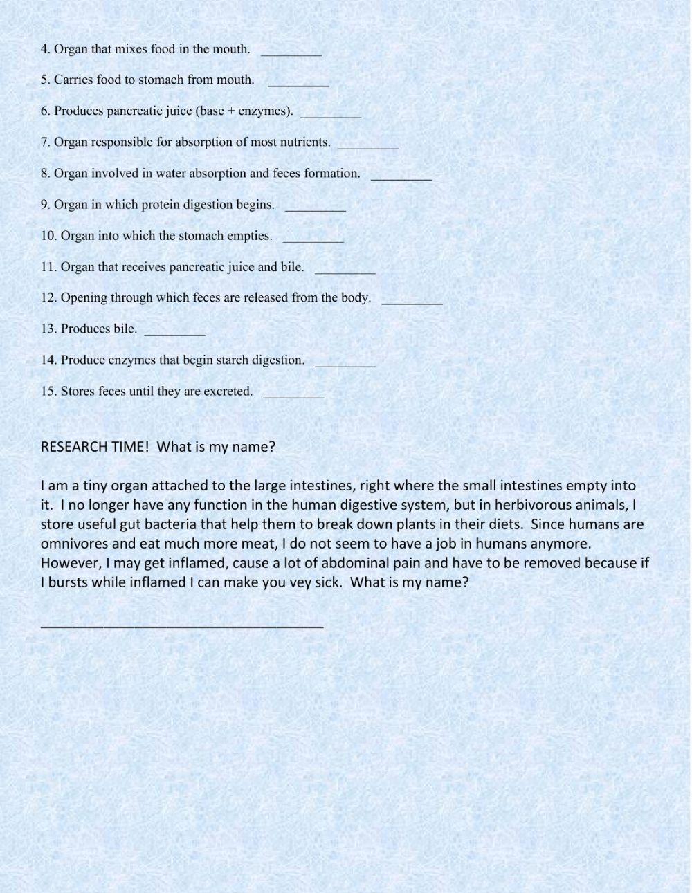 Digestive system 2022