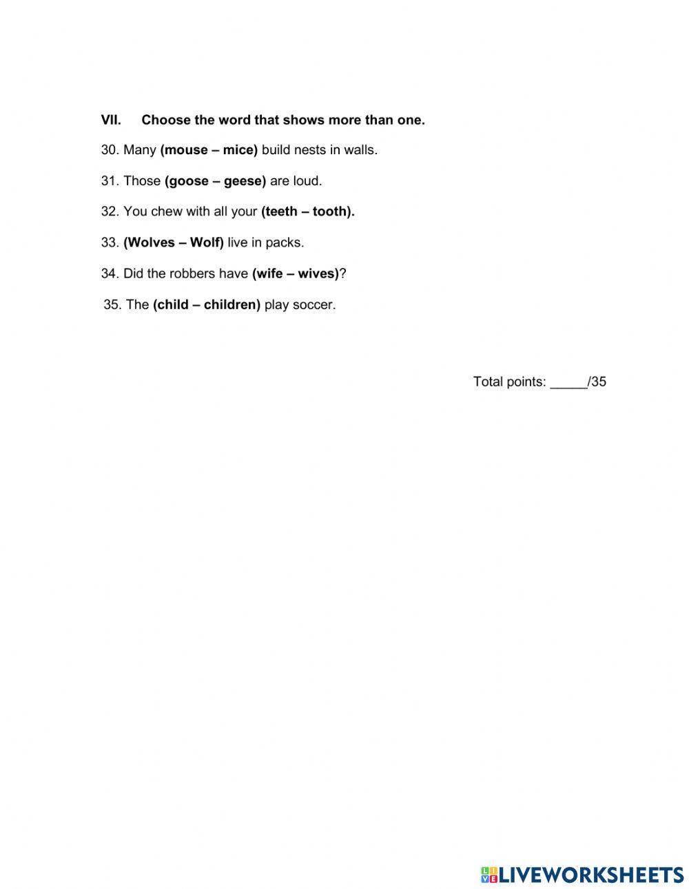 Grammar - Second Grade - Fifth Period Test