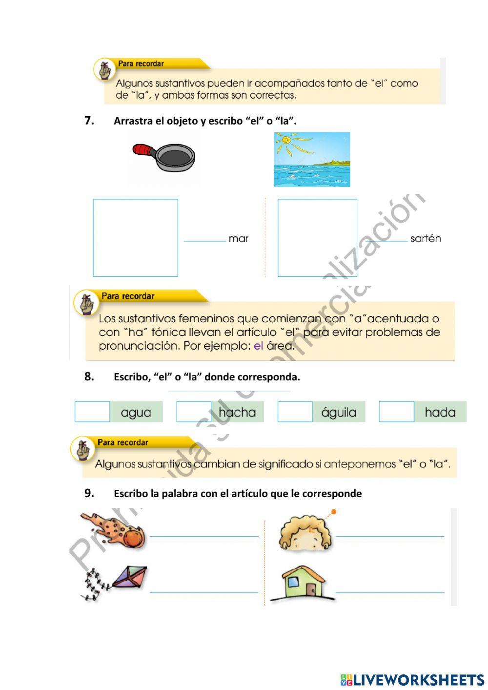 Genero del sustantivo