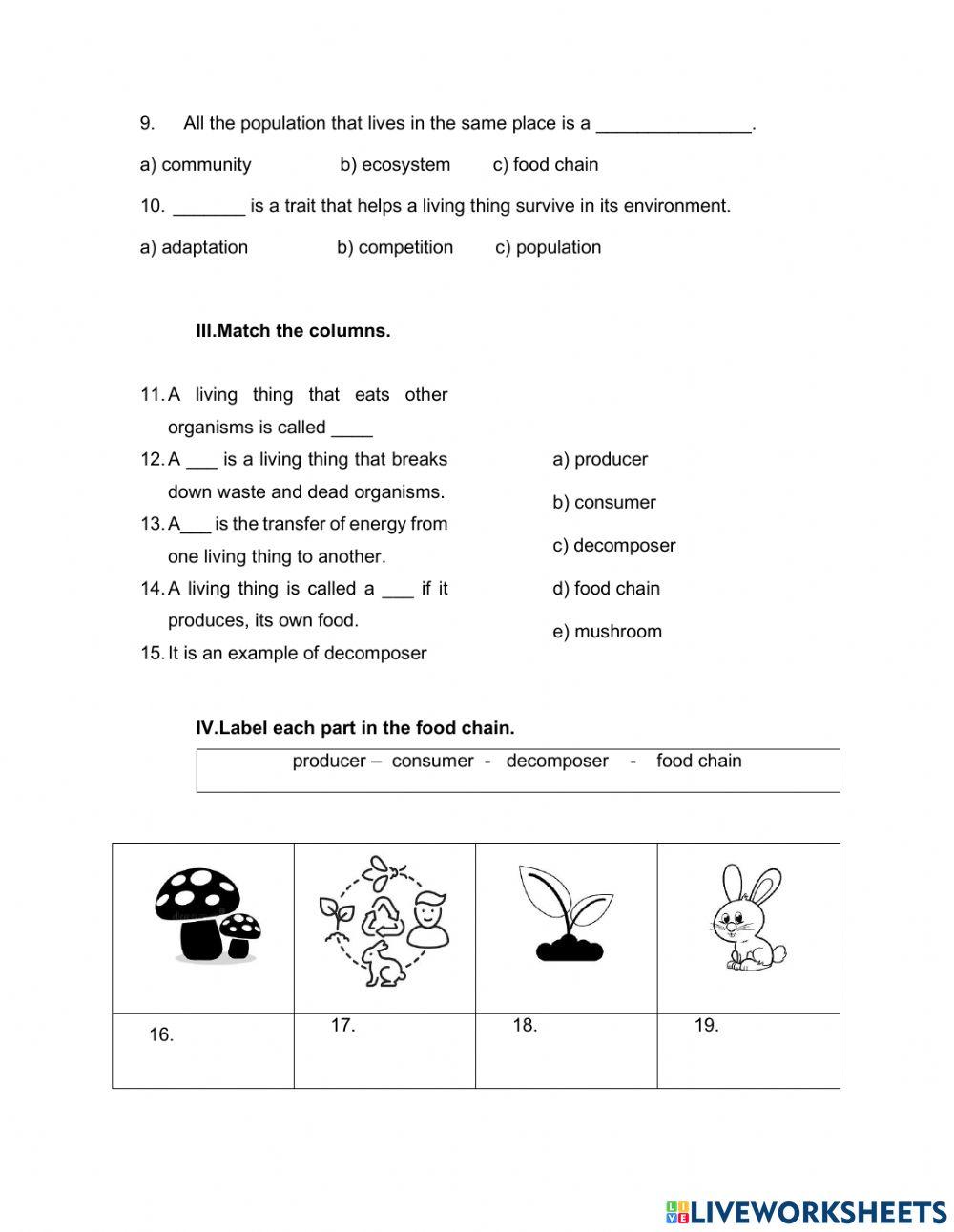Science - Third Grade - Fifth Period Test