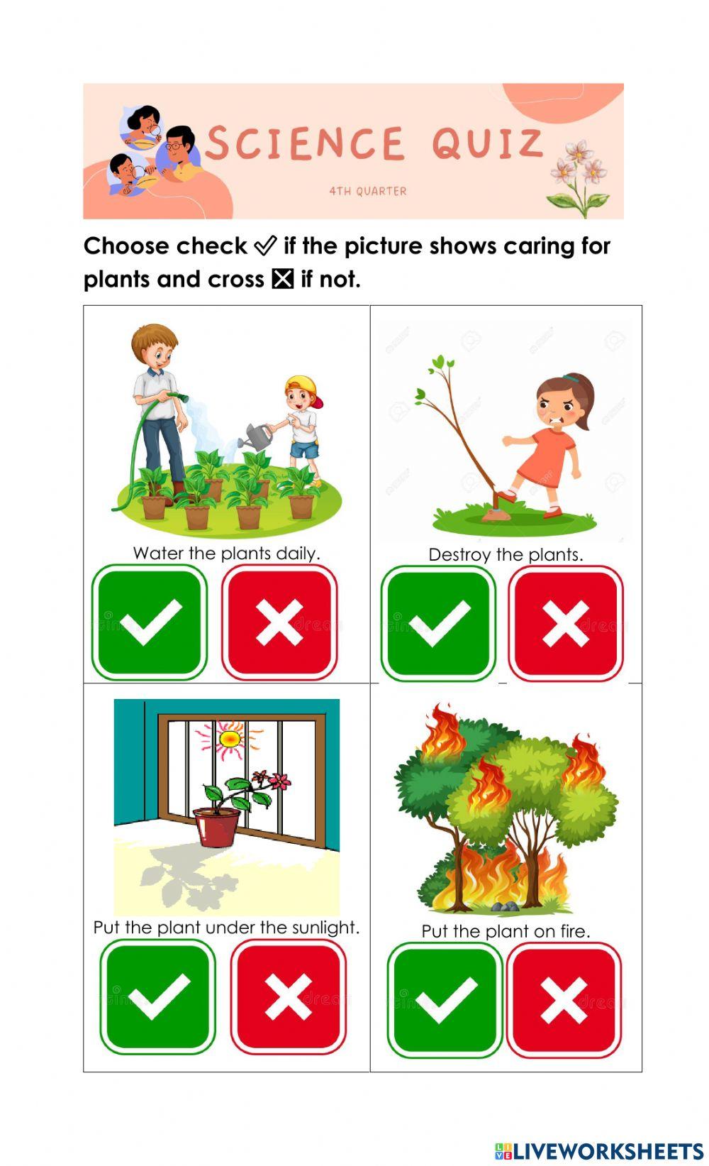2048042-caring-for-plants-mariel-arevalo