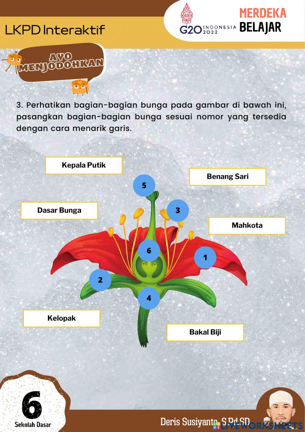 Lembar Kerja Peserta Didik