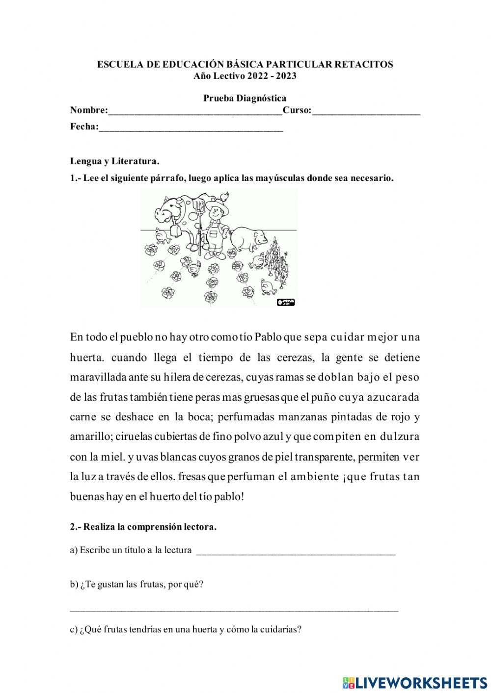 Prueba de diagnóstico de matemáticas y lengua