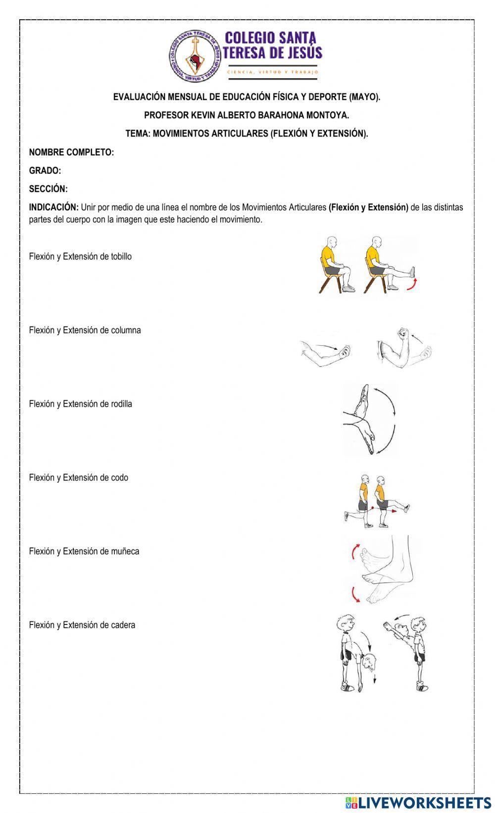 Flexión y Extensión