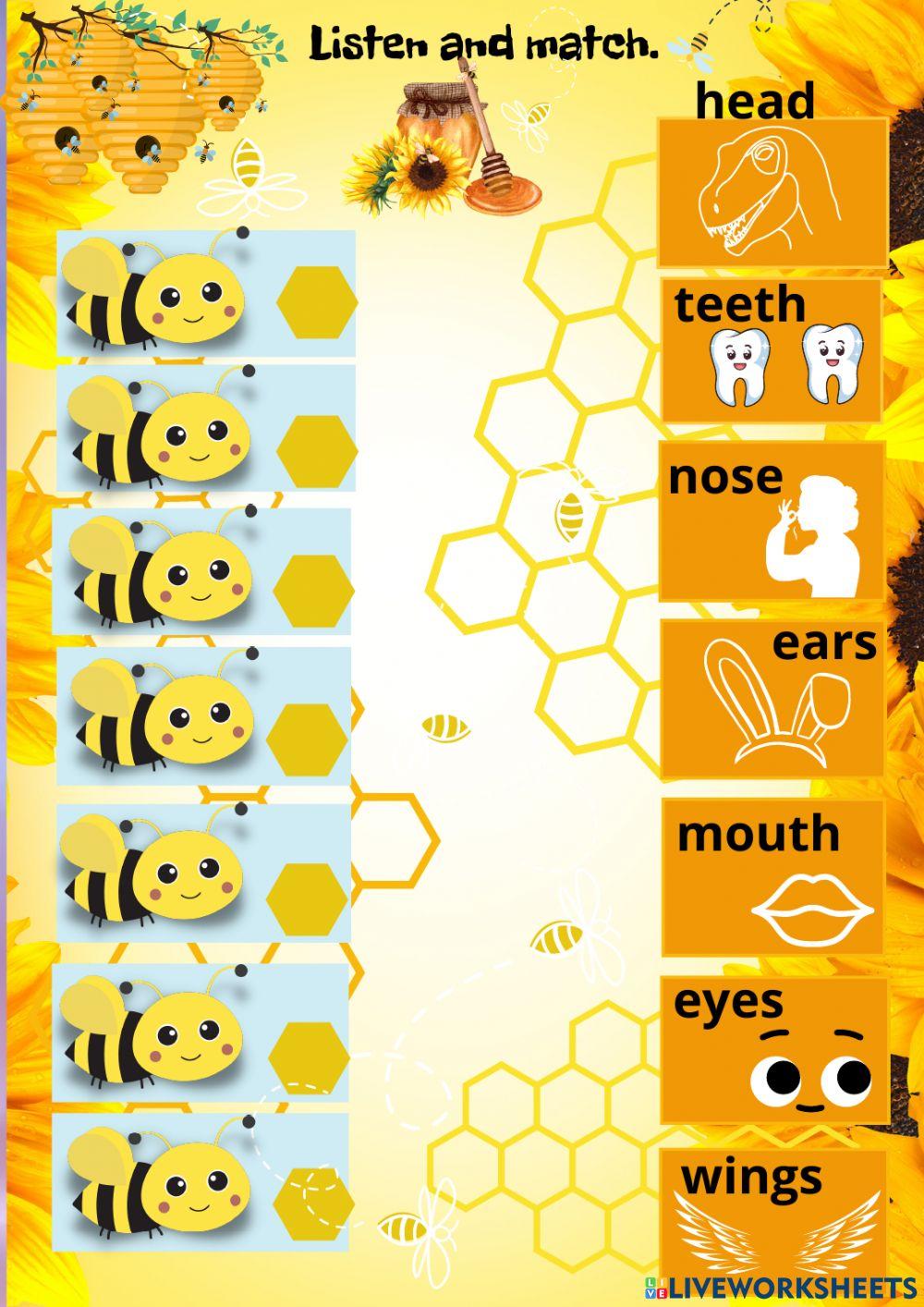 Body parts spelling2