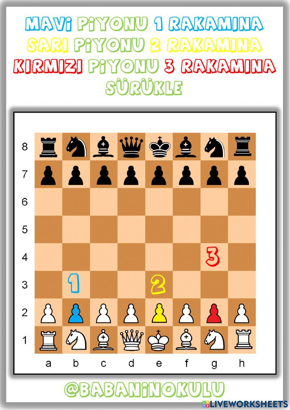 SATRANÇ-6 (PİYON) SATRANÇ-6 (PİYON)