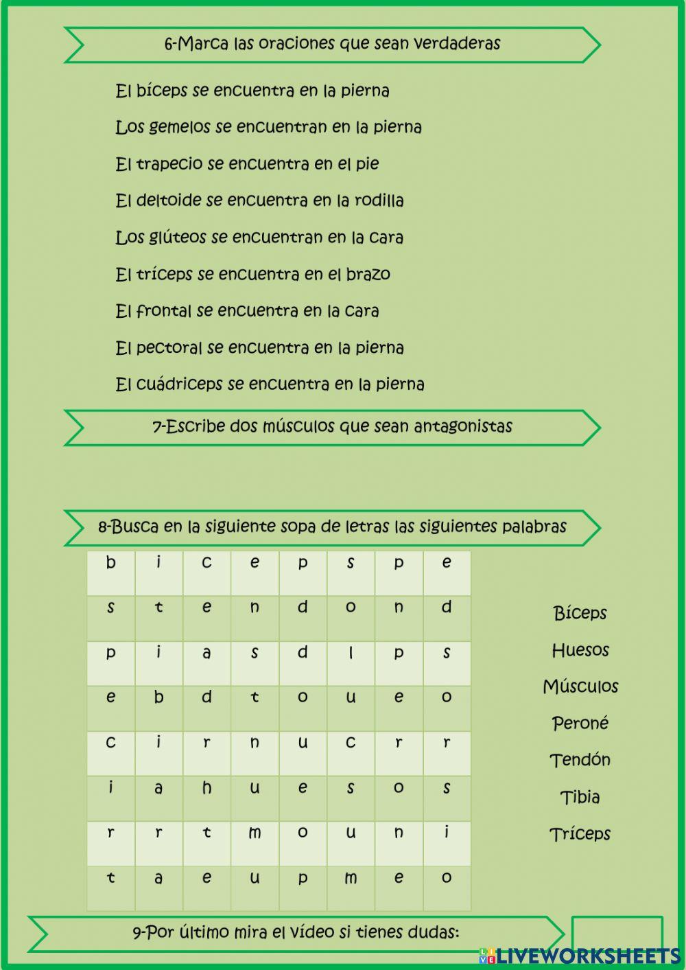 Los huesos y músculos Los huesos y músculos