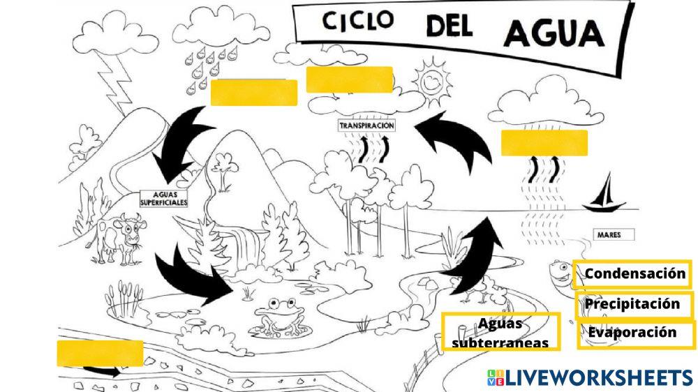 Ciclo del agua