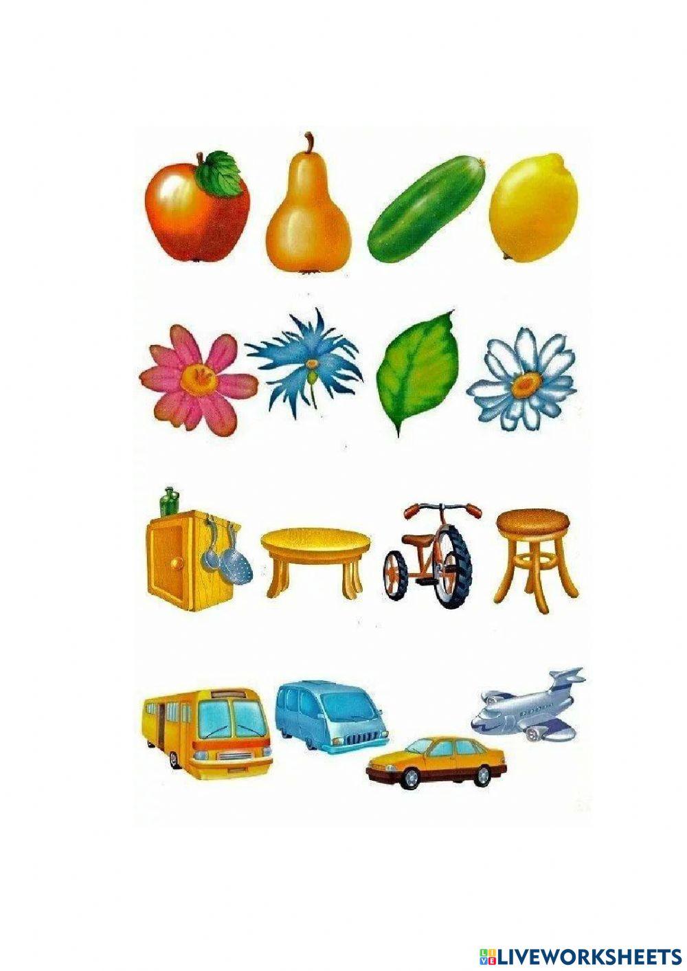 Соотношение предметов