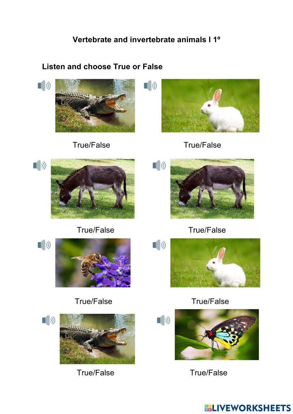 Vertebrate and invertebrate animals I 1º Vertebrate and invertebrate animals I 1º