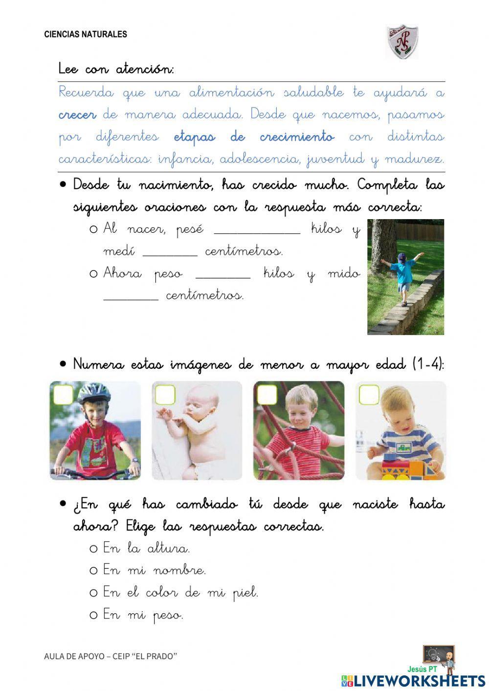 Ficha 7 La alimentación-1EP-Ciencias Naturales